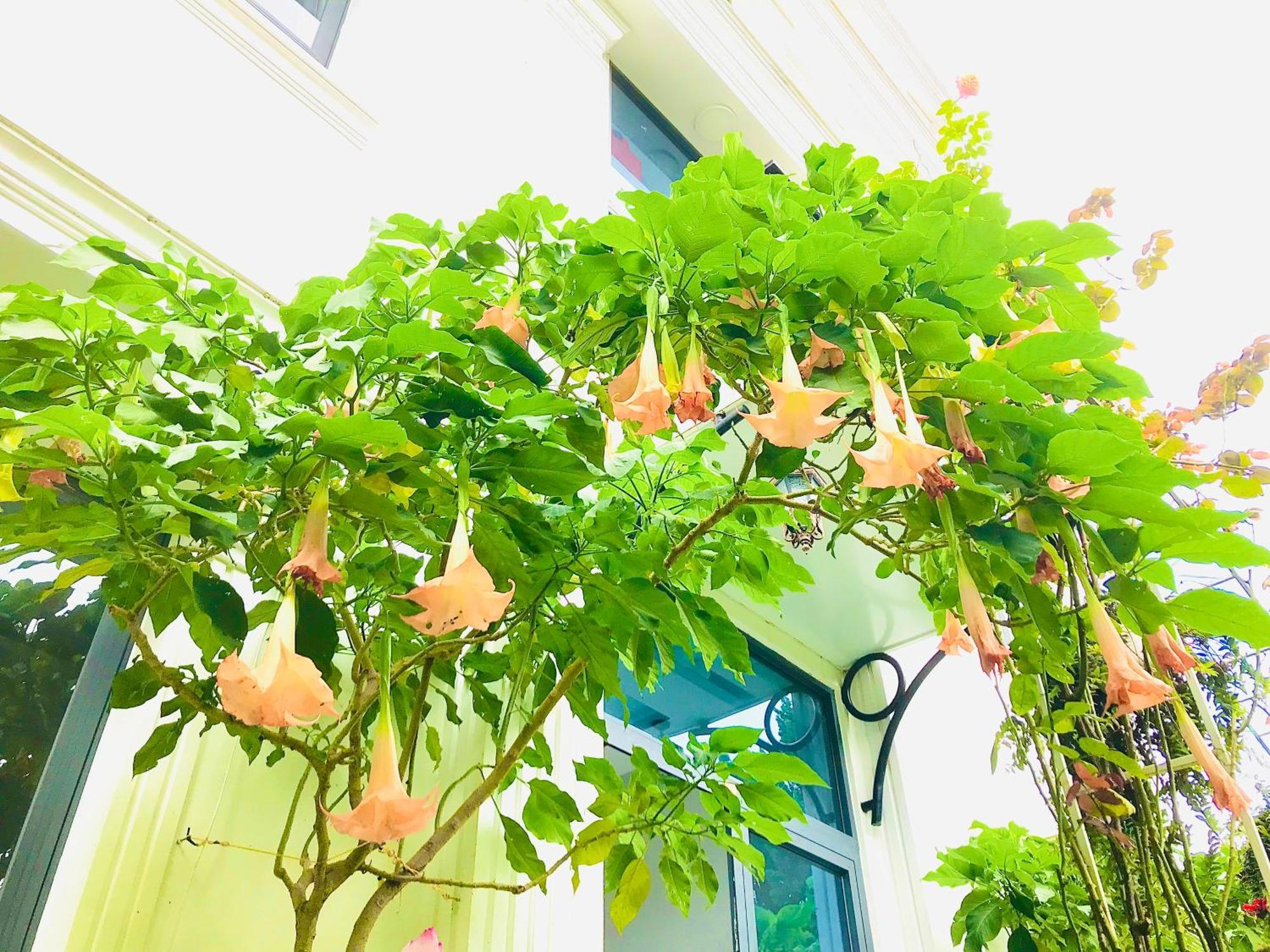 Hotel Hoa NáNg Баолок Экстерьер фото