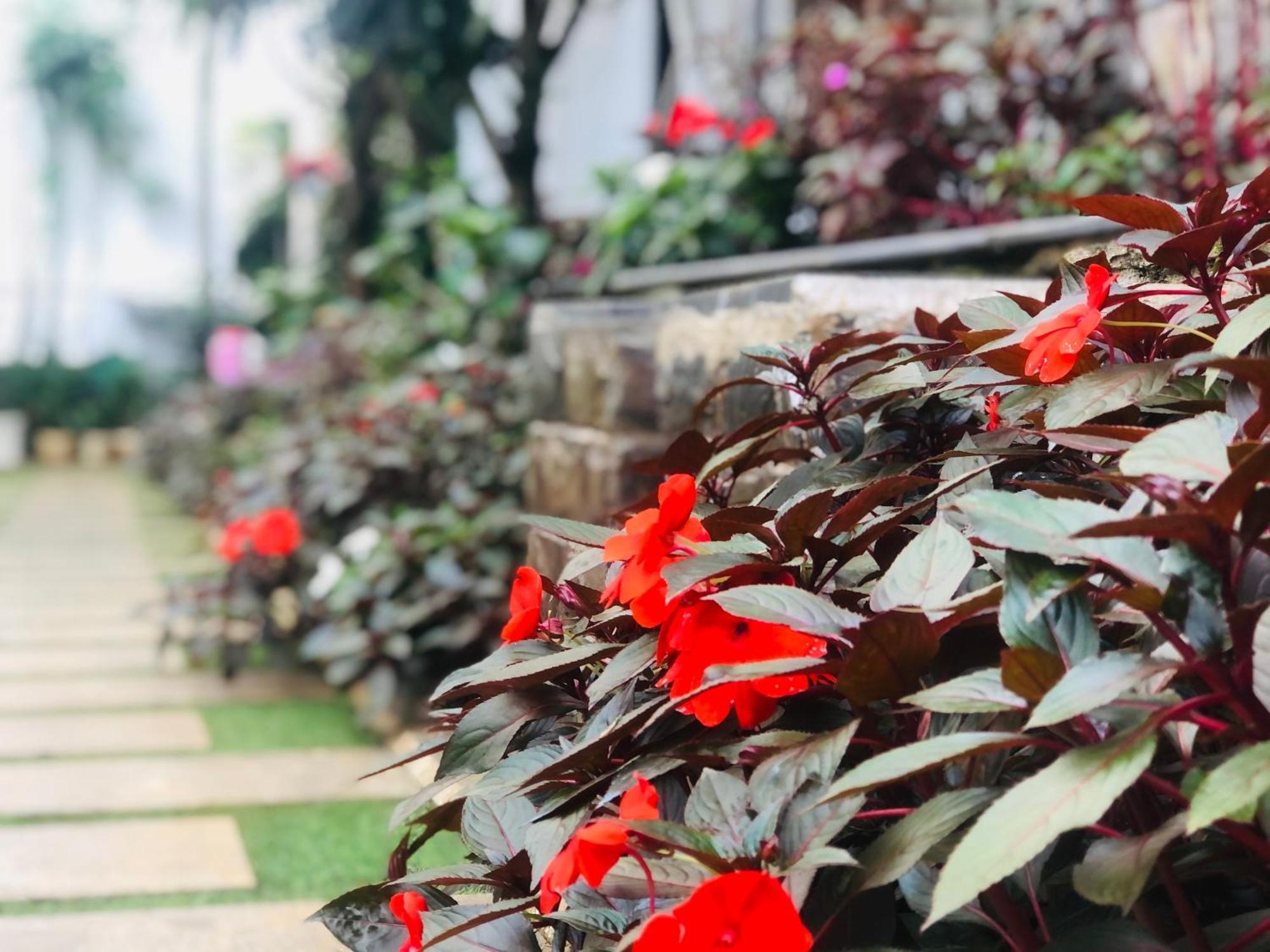 Hotel Hoa NáNg Баолок Экстерьер фото